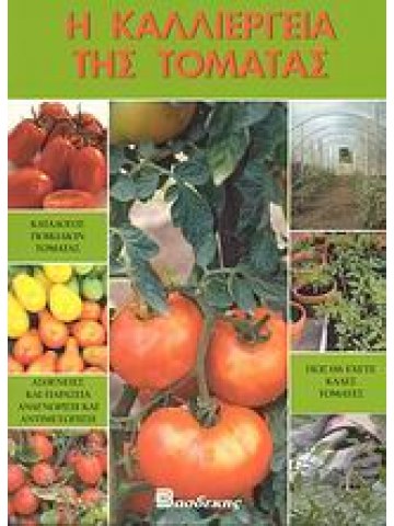 Η καλλιέργεια της τομάτας Η καλλιέργεια της τομάτας