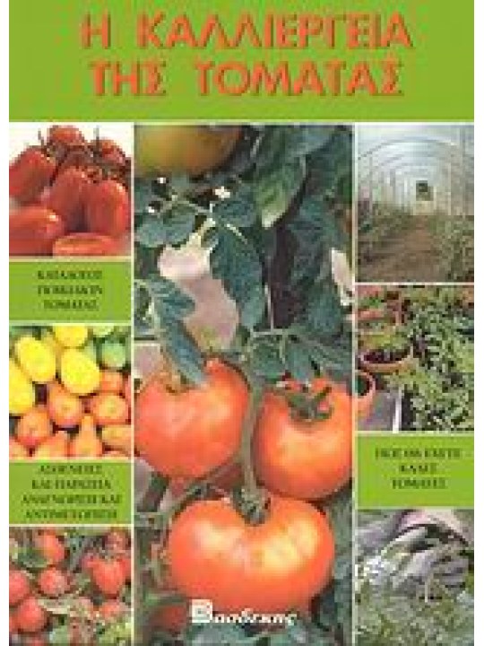 Η καλλιέργεια της τομάτας