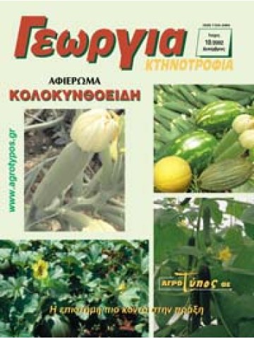 Κολοκυνθοειδή