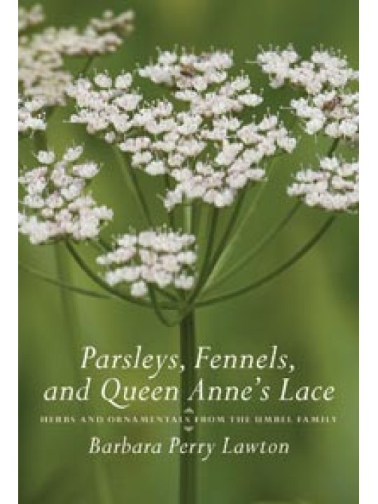 Parsleys, Fennels, and Queen Anne's Lace 