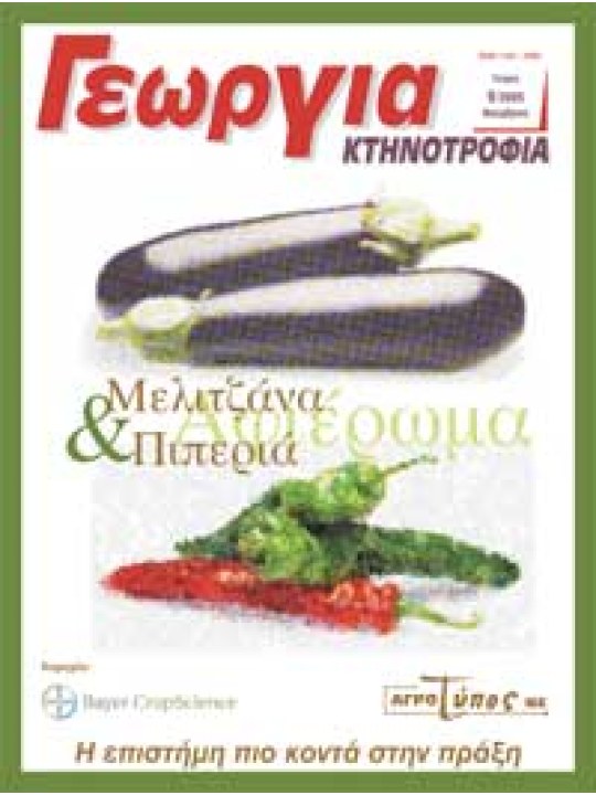 Πιπεριά και μελιτζάνα