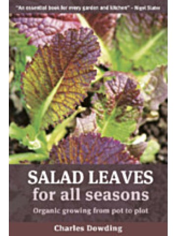 Salad Leaves for All Seasons (Φυλλώδη λαχανικά - έκδοση στα αγγλικά) Salad Leaves for All Seasons (Φυλλώδη λαχανικά - έκδοση στα αγγλικά)