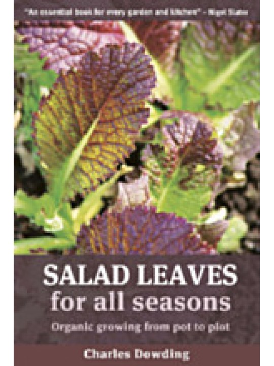 Salad Leaves for All Seasons (Φυλλώδη λαχανικά - έκδοση στα αγγλικά) Salad Leaves for All Seasons (Φυλλώδη λαχανικά - έκδοση στα αγγλικά)