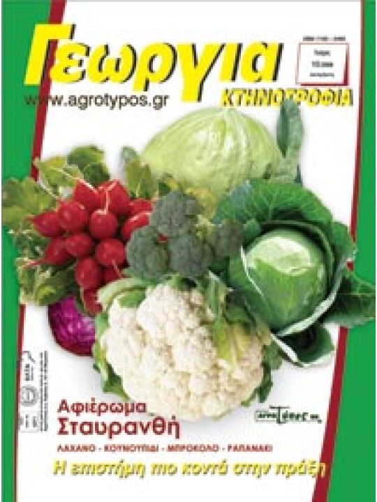 Σταυρανθή λαχανικά