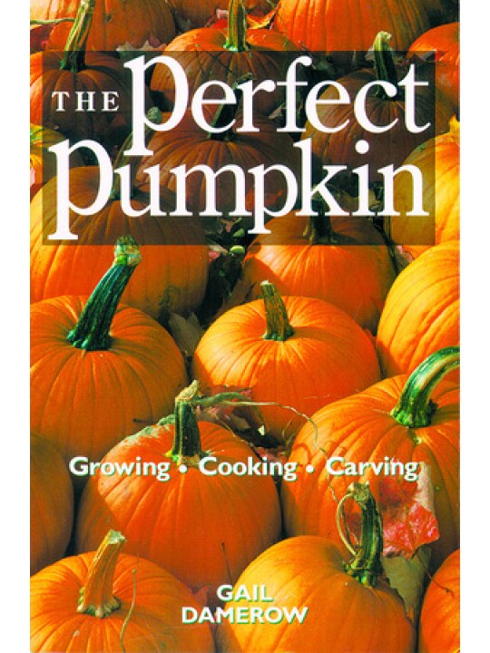 The Perfect Pumpkin (Κολοκύθα - έκδοση στα αγγλικά)