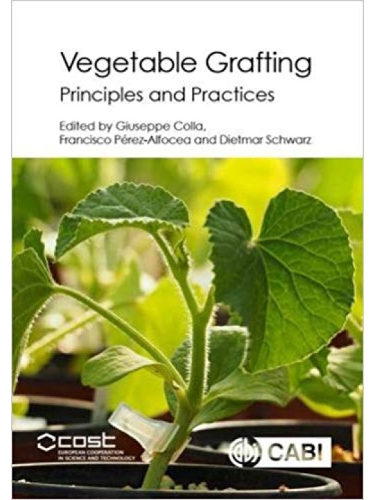 Vegetable Grafting (Ο εμβολιασμός των λαχανικών - έκδοση στα αγγλικά) Vegetable Grafting (Ο εμβολιασμός των λαχανικών - έκδοση στα αγγλικά)