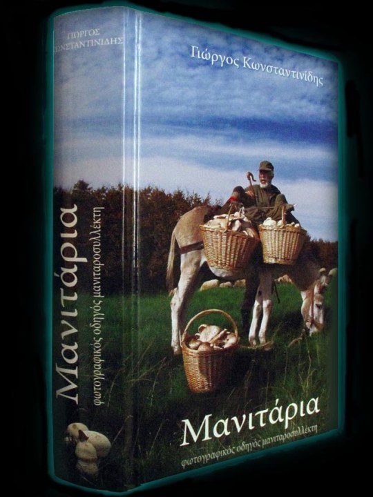 Μανιτάρια Μανιτάρια