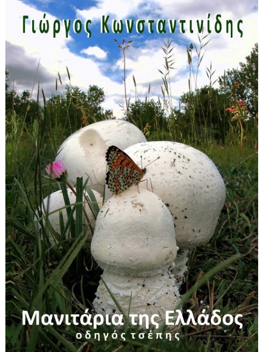 Μανιτάρια της Ελλάδος