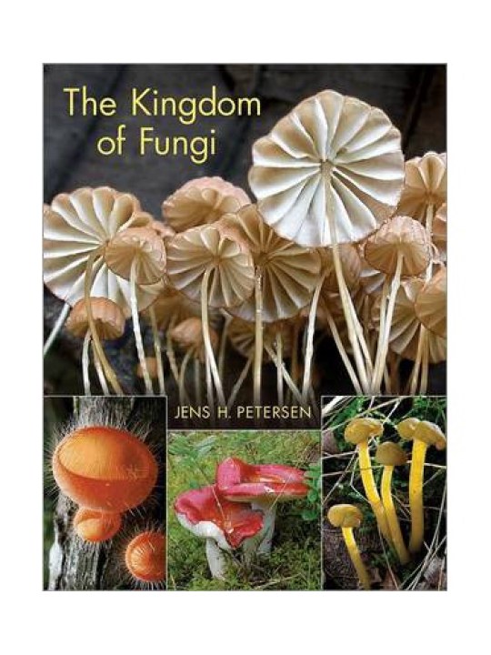 The Kingdom of Fungi 