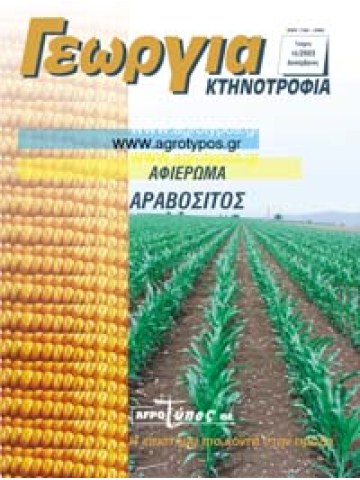 Αραβόσιτος