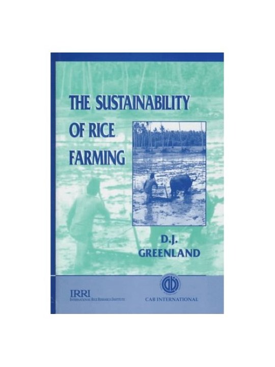 The Sustainability of Rice Farming  The Sustainability of Rice Farming