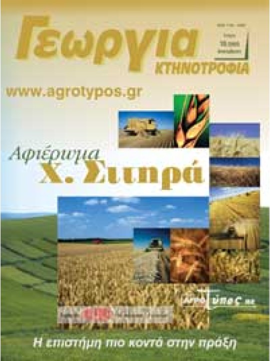 Χειμερινά σιτηρά