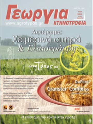 Χειμερινά σιτηρά και ελαιοκράμβη