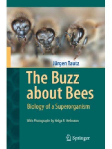 The Buzz about Bees (Βιολογία της μέλισσας - έκδοση στα αγγλικά) The Buzz about Bees (Βιολογία της μέλισσας - έκδοση στα αγγλικά)