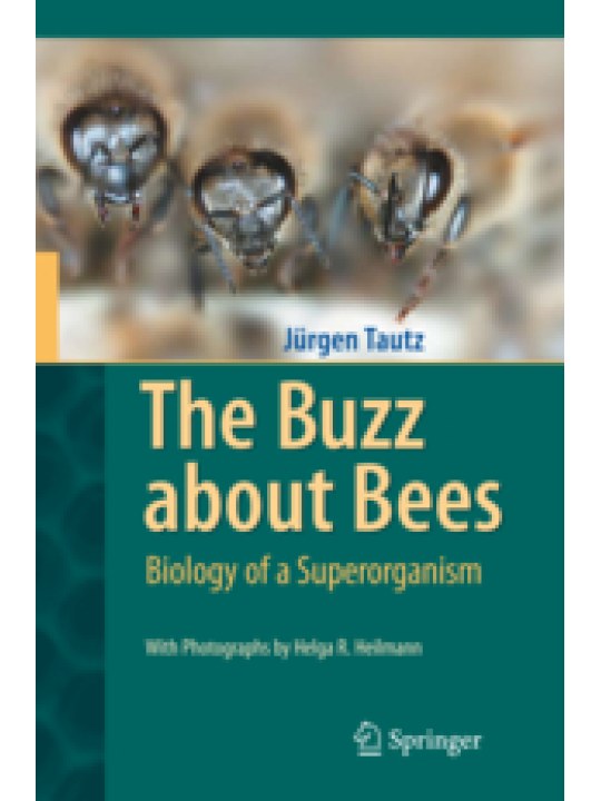 The Buzz about Bees