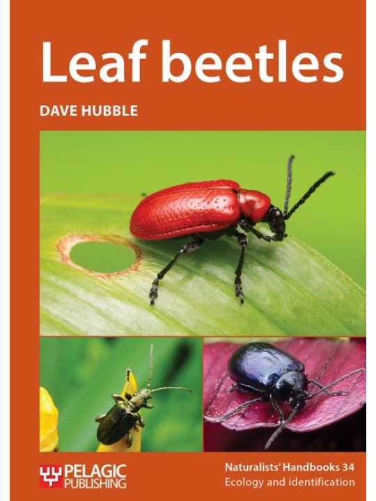 Leaf beetles (Σκαθάρια - έκδοση στα αγγλικά)