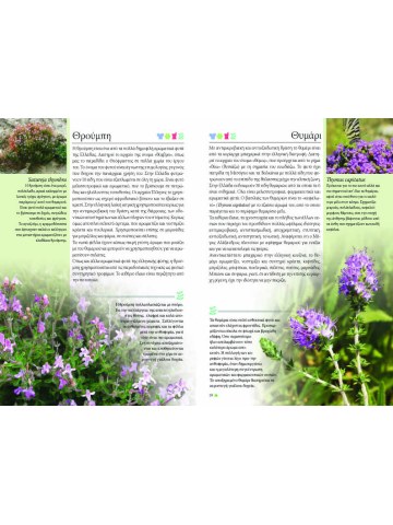 Χόρτα και βότανα της Ελλάδας