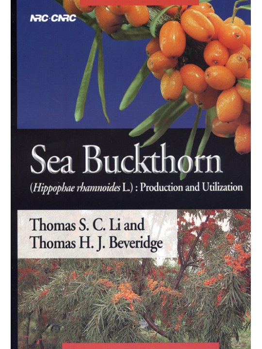 Sea Buckthorn