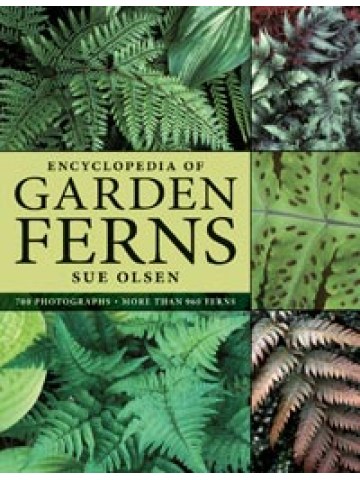 Encyclopedia of Garden Ferns (Εγκυκλοπαίδεια για φτέρες για τον κήπο - έκδοση στα αγγλικά) Encyclopedia of Garden Ferns (Εγκυκλοπαίδεια για φτέρες για τον κήπο - έκδοση στα αγγλικά)