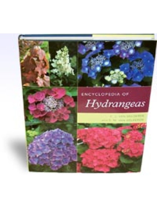 Encyclopedia of Hydrangeas Encyclopedia of Hydrangeas