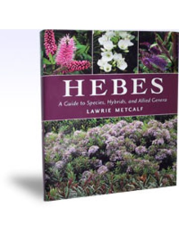 Hebes A Guide to Species, Hybrids, and Allied Genera Hebes A Guide to Species, Hybrids, and Allied Genera