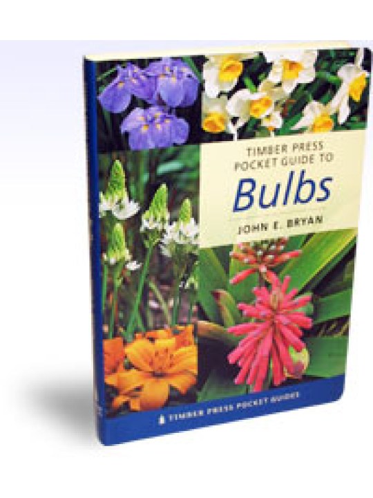 Timber Press Pocket Guide to Bulbs