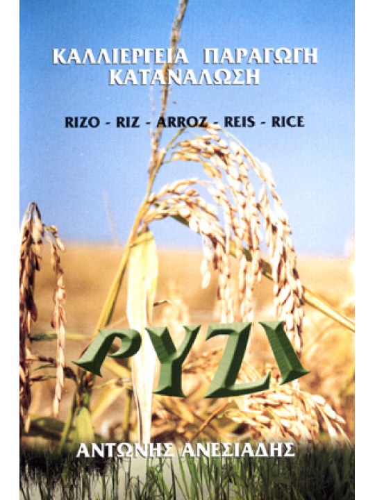 Ρύζι: Καλλιέργεια - Παραγωγή - Κατανάλωση