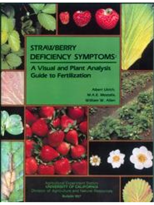 Strawberry Deficiency Symptoms (Συμπτώματα ανεπάρκειας θρεπτικών στη φράουλα - έκδοση στα αγγλικά)