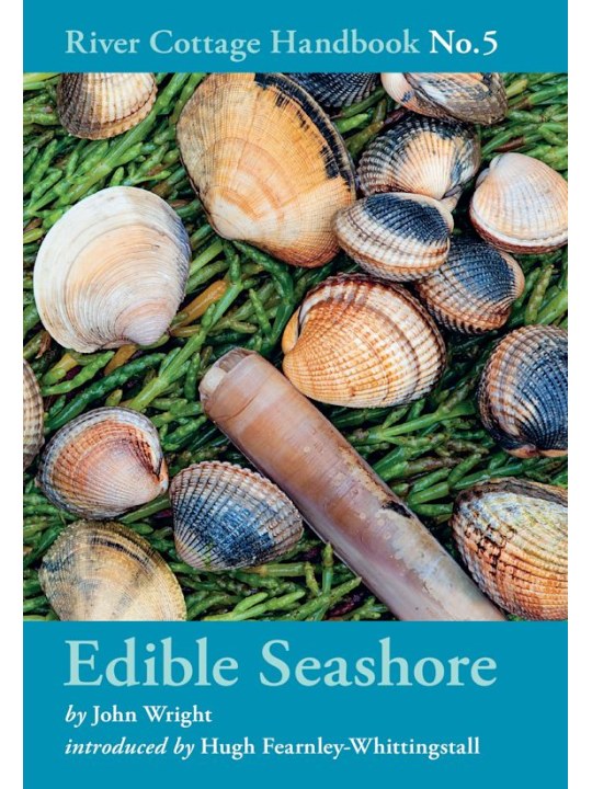 Edible Seashore
