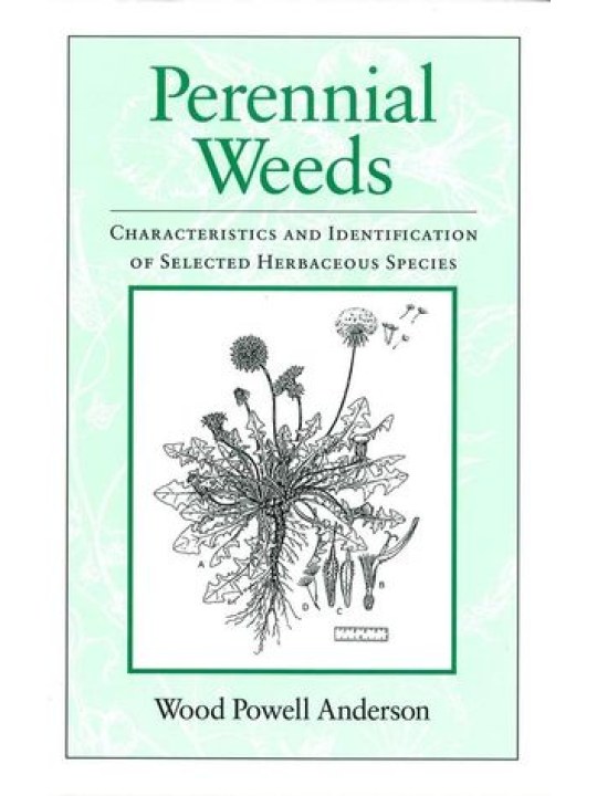 Perennial Weeds: Characteristics and Identification of Selected Herbaceous Species