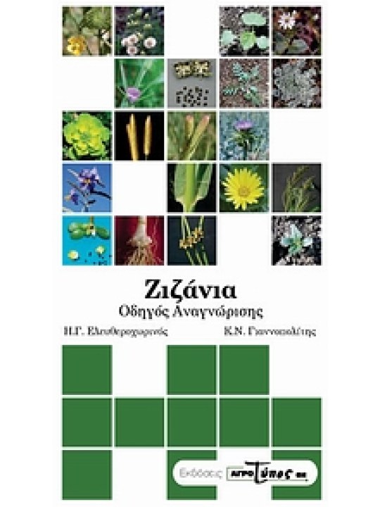 Ζιζάνια: οδηγός αναγνώρισης Ζιζάνια: οδηγός αναγνώρισης