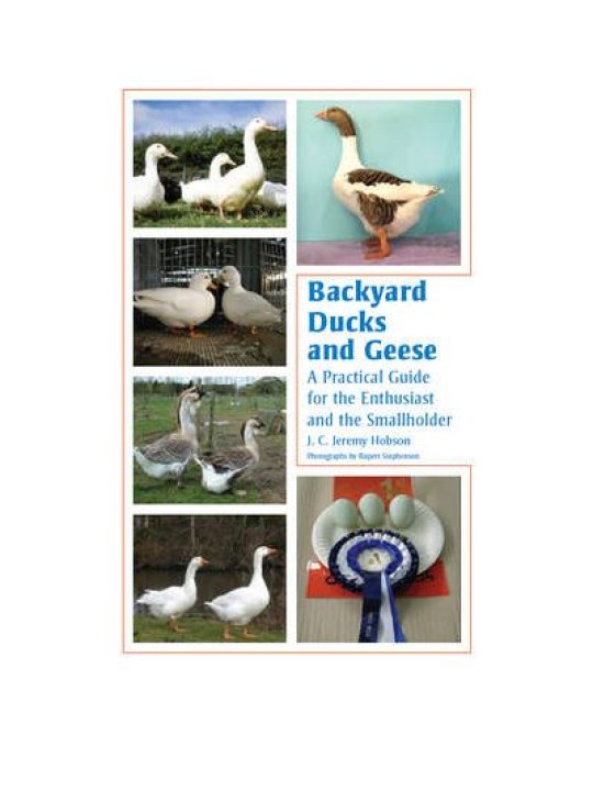 Backyard Ducks and Geese: A Practical Guide for the Enthusiast and the Smallholder (Οικόσιτες πάπιες και χήνες - έκδοση στα αγγλικά) Backyard Ducks and Geese: A Practical Guide for the Enthusiast and the Smallholder (Οικόσιτες πάπιες και χήνες - έκδοση στα αγγλικά)