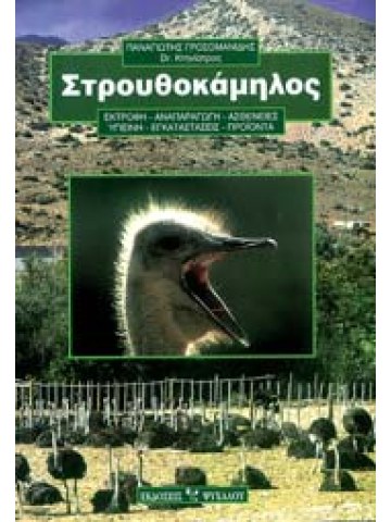 Στρουθοκάμηλος Στρουθοκάμηλος