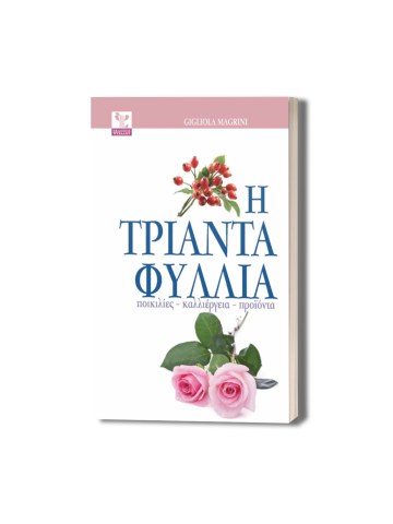Η τριανταφυλλιά Η τριανταφυλλιά