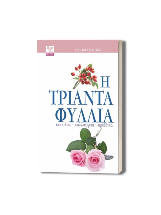 Η τριανταφυλλιά