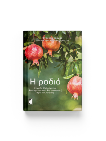 Pomegranate tree (in Greek) Pomegranate tree (in Greek)