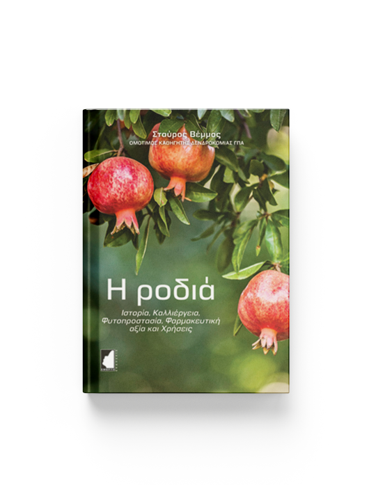 Η ροδιά Η ροδιά