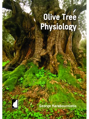 Olive Tree Physiology