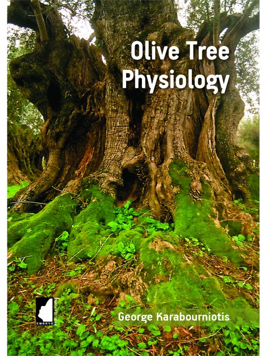 Olive Tree Physiology