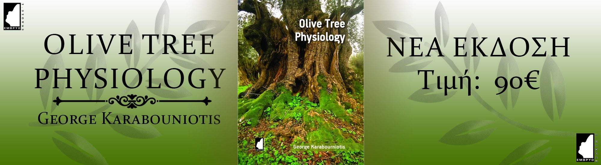 olive-tree-physiology