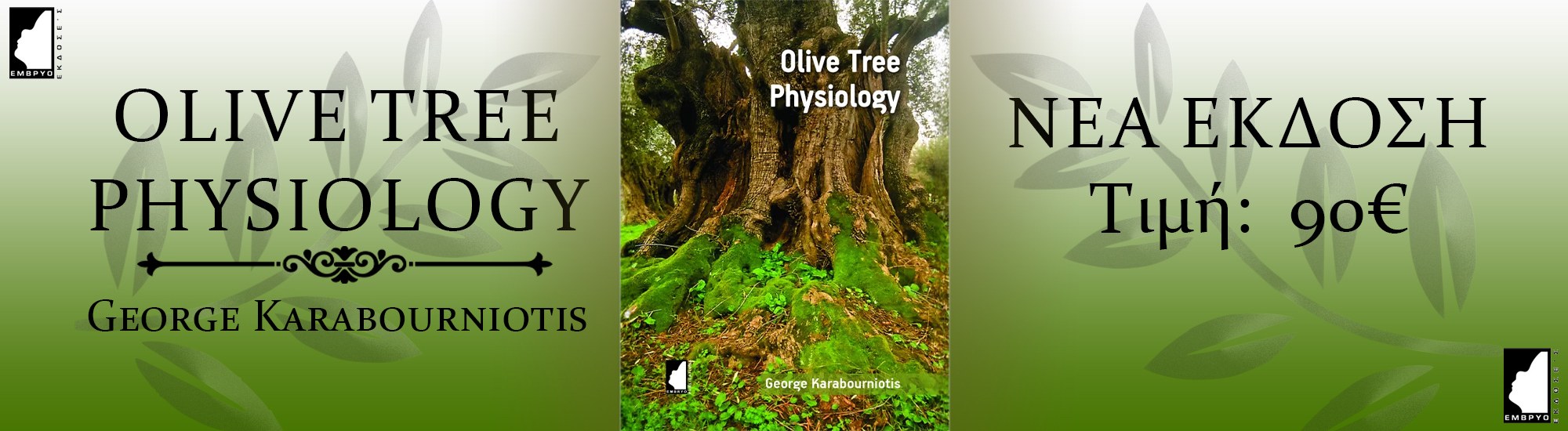 olive-tree-physiology