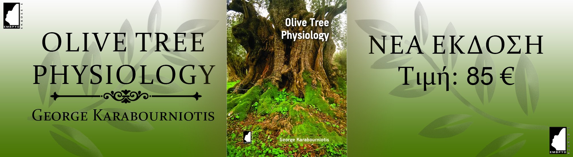 olive-tree-physiology