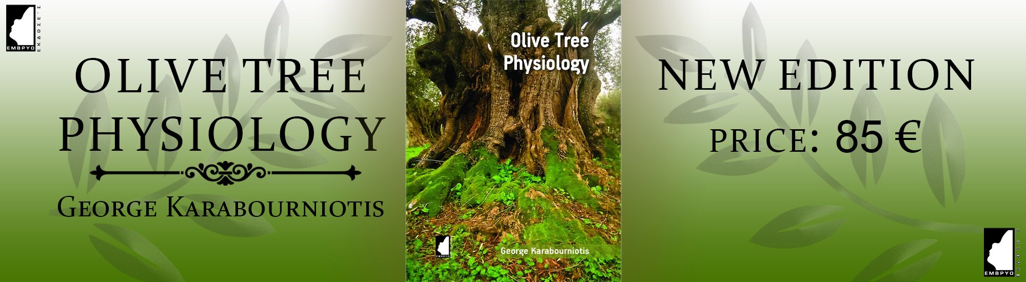 olive-tree-physiology-en
