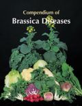 Compendium of Brassica Diseases (Ασθένειες σταυρανθών λαχανικών - έκδοση στα αγγλικά)