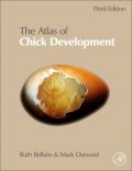 Atlas of Chick Development, 3rd Edition (Άτλας ανάπτυξης νεοσσών - έκδοση στα αγγλικά)