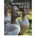 Domestic Geese (  -   )