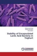 Stability of Encapsulated Lactic Acid Bacteria in Yoghurt