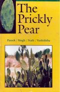 The Prickly Pear ( -   )